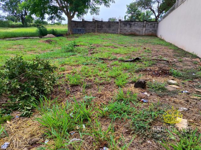 Terreno para Venda Jardim Manoel Penna Ribeirão Preto